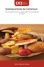 Ectomycorhizes du Cameroun