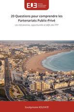20 Questions pour comprendre les Partenariats Public-Privé