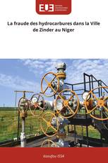La fraude des hydrocarbures dans la Ville de Zinder au Niger