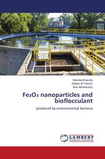 Fe₂O₃ nanoparticles and bioflocculant