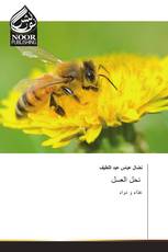 نحل العسل