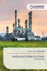 DOĞALGAZ FİZİBİLİTE ETÜDÜ