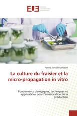 La culture du fraisier et la micro-propagation in vitro