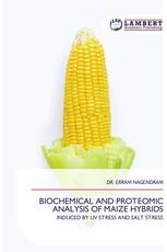BIOCHEMICAL AND PROTEOMIC ANALYSIS OF MAIZE HYBRIDS