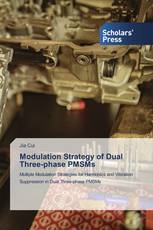 Modulation Strategy of Dual Three-phase PMSMs