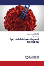 Epithelial–Mesenchymal Transition