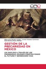 GESTIÓN DE LA PRECARIEDAD EN MÉXICO