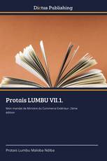 Protais LUMBU VII.1.