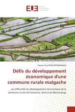 Défis du développement économique d'une commune rurale malgache