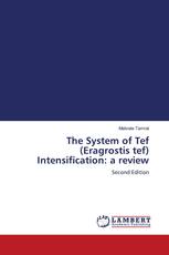 The System of Tef (Eragrostis tef) Intensification: a review