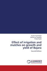 Effect of irrigation and mulches on growth and yield of Bajara