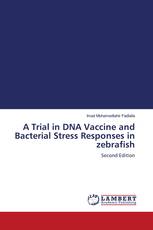 A Trial in DNA Vaccine and Bacterial Stress Responses in zebrafish