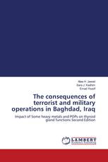 The consequences of terrorist and military operations in Baghdad, Iraq