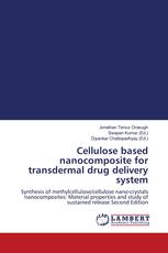 Cellulose based nanocomposite for transdermal drug delivery system