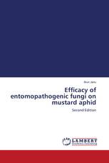 Efficacy of entomopathogenic fungi on mustard aphid