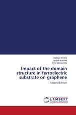 Impact of the domain structure in ferroelectric substrate on graphene