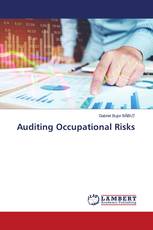 Auditing Occupational Risks