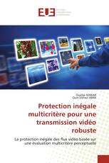Protection inégale multicritère pour une transmission vidéo robuste