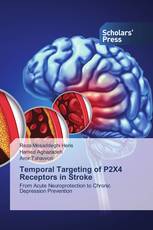 Temporal Targeting of P2X4 Receptors in Stroke
