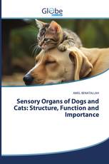 Sensory Organs of Dogs and Cats: Structure, Function and Importance