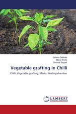 Vegetable grafting in Chilli