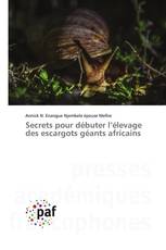 Secrets pour débuter l’élevage des escargots géants africains