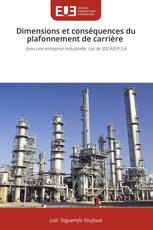 Dimensions et conséquences du plafonnement de carrière