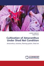 Cultivation of Amaranthus Under Shed Net Condition