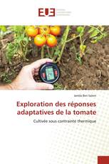 Exploration des réponses adaptatives de la tomate