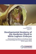 Developmental Anatomy of the Harderian Gland in White Leghorn Embryos