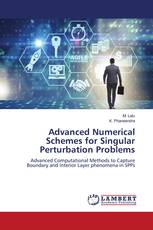 Advanced Numerical Schemes for Singular Perturbation Problems