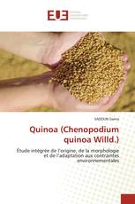 Quinoa (Chenopodium quinoa Willd.)