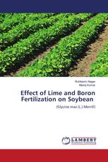 Effect of Lime and Boron Fertilization on Soybean