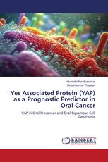 Yes Associated Protein (YAP) as a Prognostic Predictor in Oral Cancer