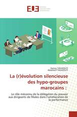La (r)évolution silencieuse des hypo-groupes marocains :