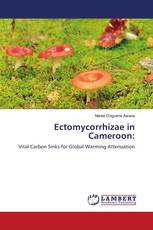 Ectomycorrhizae in Cameroon: