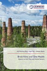 Brick Kilns and One Health