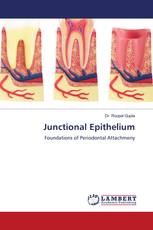 Junctional Epithelium