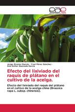 Efecto del lixiviado del raquis de plátano en el cultivo de la acelga.