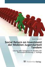 Social Return on Investment der Mobilen Jugendarbeit Tandem