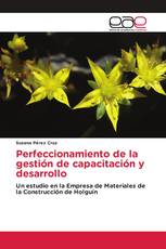 Perfeccionamiento de la gestión de capacitación y desarrollo