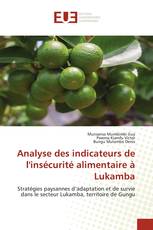 Analyse des indicateurs de l'insécurité alimentaire à Lukamba