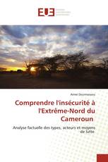 Comprendre l'insécurité à l'Extrême-Nord du Cameroun
