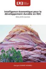 Intelligence économique pour le développement durable en RDC