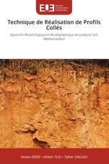 Technique de Réalisation de Profils Collés