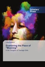 Examining the Place of "Meaning"