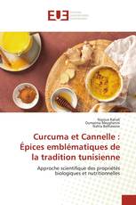 Curcuma et Cannelle : Épices emblématiques de la tradition tunisienne