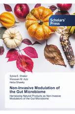 Non-Invasive Modulation of the Gut Microbiome