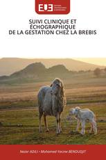 SUIVI CLINIQUE ET ÉCHOGRAPHIQUE DE LA GESTATION CHEZ LA BREBIS