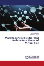 Morphogenetic Fields: Plant Architecture Model of Virtual Rice